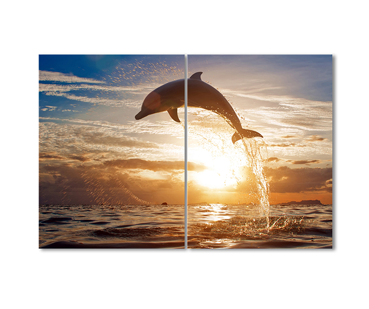 

Модульная картина Artel «Дельфин и закат» 2 модуля 120x180 см