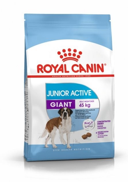 

Сухой корм Royal Canin Giant Junior Active для щенков гигантских пород с высокими энергетическими потребностями старше 8 месяцев 15 кг (3182550779456)