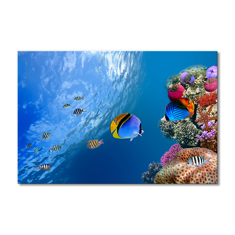 

Модульная картина Artel «Движущиеся рыбы» 1 модуль 60x90 см