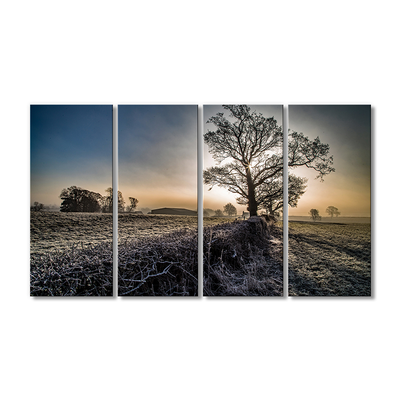 

Модульная картина Artel «Дерево и поле в инее» 4 модуля 90x135 см