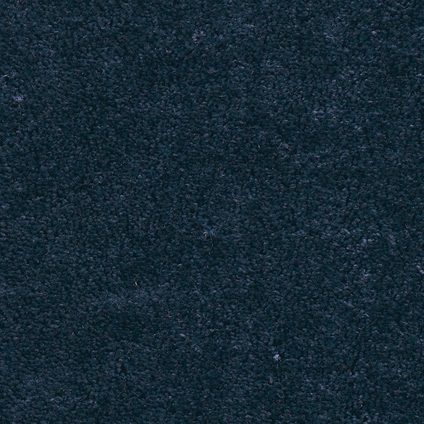 

Ковролин AW Anastasia 77 Синий ширина 5 м за м2 (1326d3509w76)