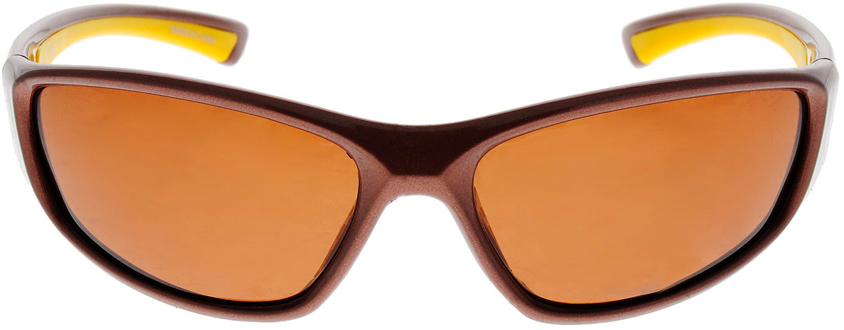 

Очки Salmo 13 Brown (S-2513)