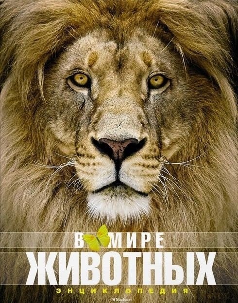 

В мире животных. Энциклопедия Махаон