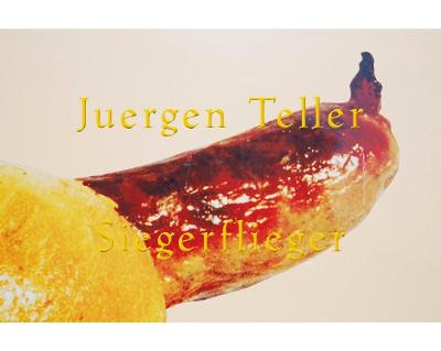 

Siegerflieger