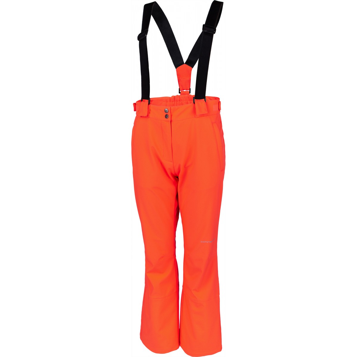 

Брюки лыжные ALPINE PRO ARGA,  (48, Брюки лыжные ALPINE PRO ARGA, L (48)