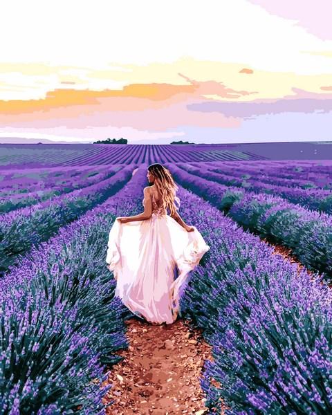 

Картина по номерам VP1239 В лавандовом поле, 40x50 см., Babylon