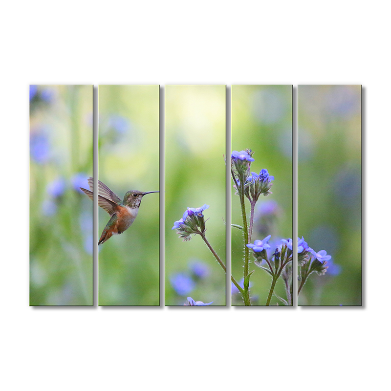 

Модульная картина Artel «Колибри и цветок» 5 модулей 70x105 см