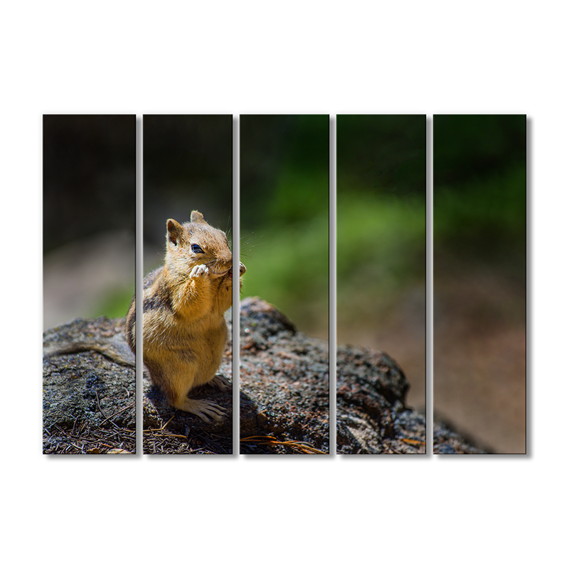 

Модульная картина Artel «Колорадский бурундук» 5 модулей 120x180 см