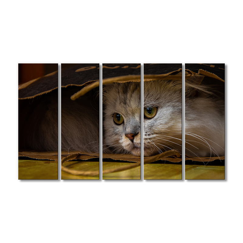 

Модульная картина Artel «Кот в пакете» 5 модулей 90x135 см