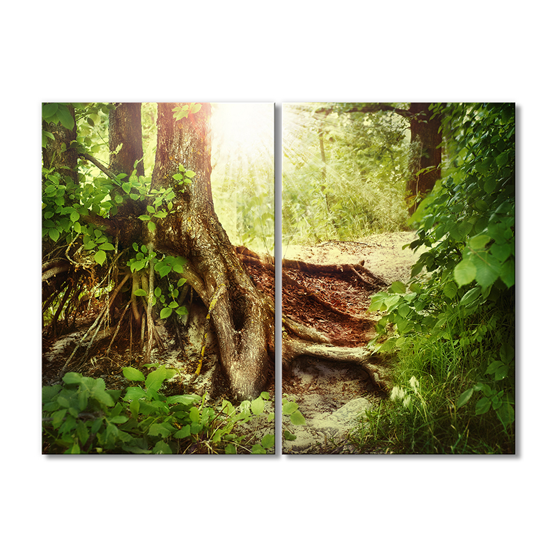 

Модульная картина Artel «Корни дерева» 2 модуля 50x75 см