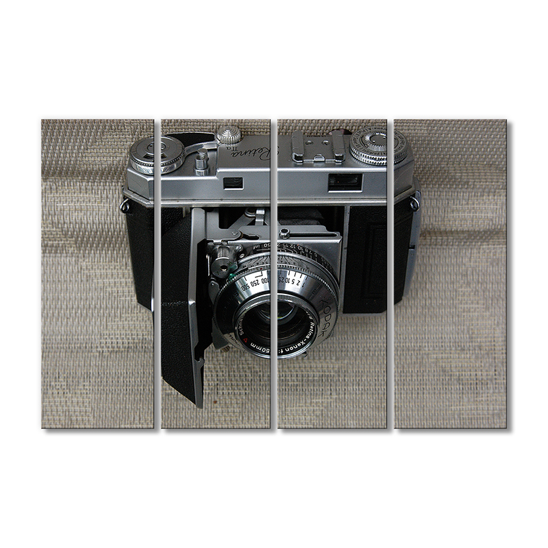 

Модульная картина Artel «Камера Canon» 4 модуля 70x105 см