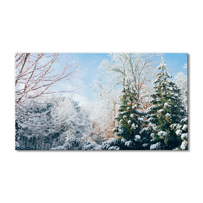 

Модульная картина Artel «Зимняя природа» 1 модуль 60x90 см