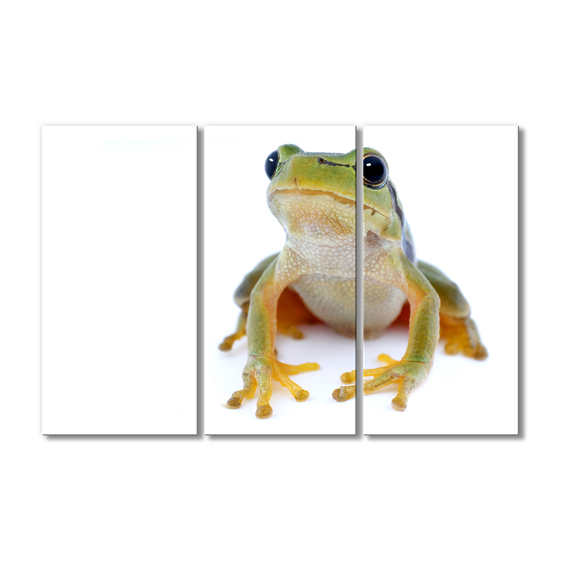 

Модульная картина Artel «Зеленая лягушка» 3 модуля 90x135 см