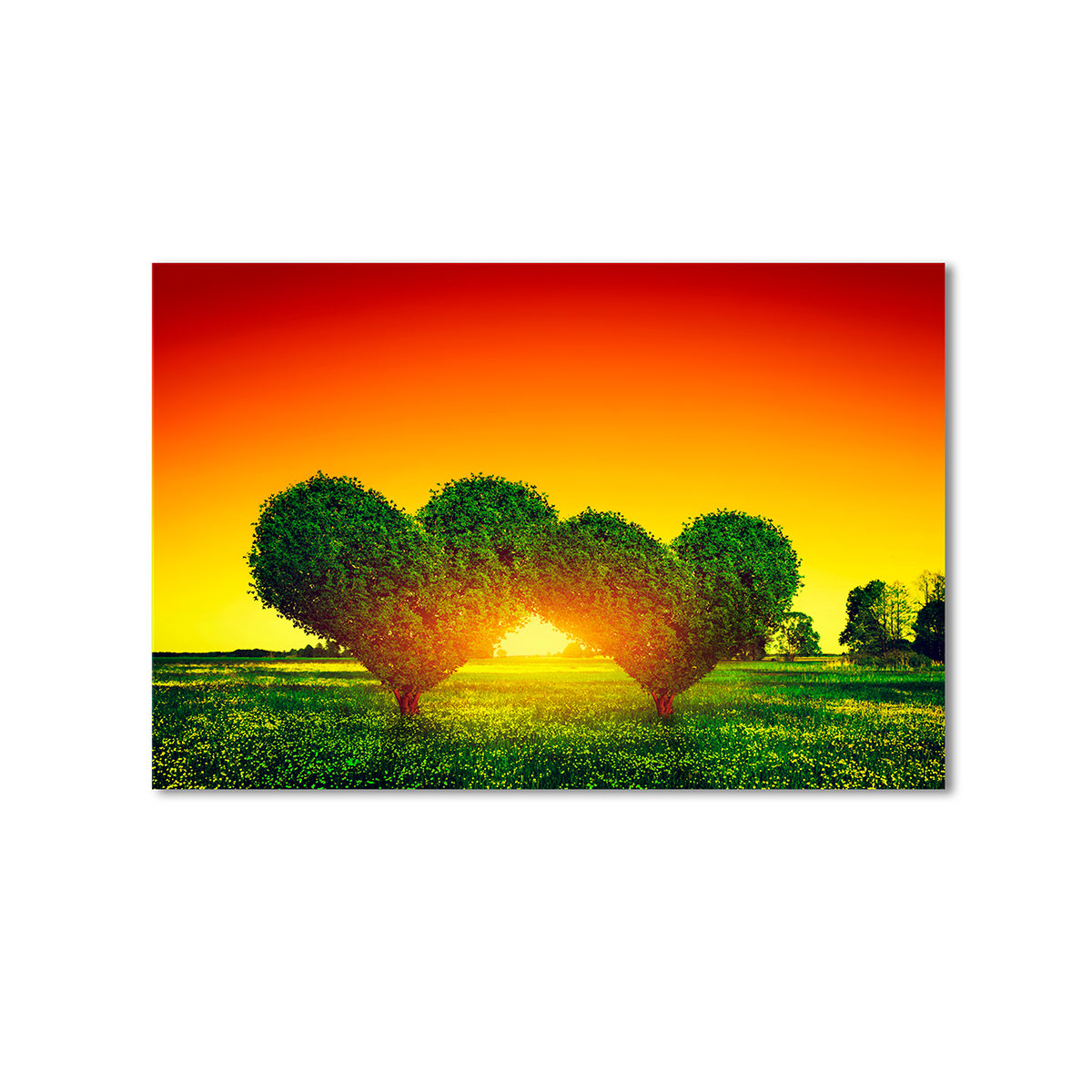 

Модульная картина Artel «Зеленые сердца, садовое искусство» 1 модуль 50x75 см