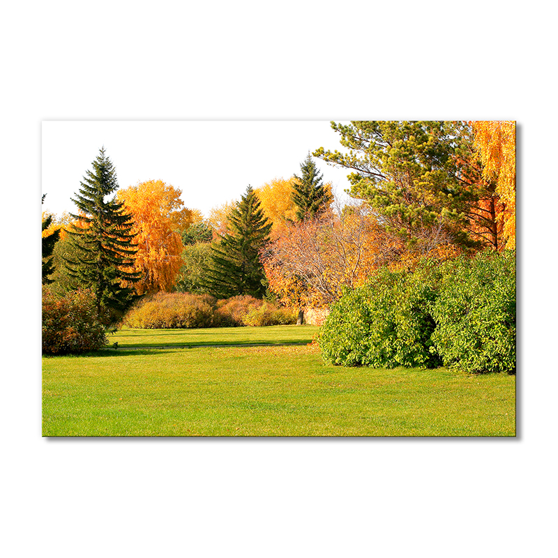 

Модульная картина Artel «Зелено-желтый сад» 1 модуль 60x90 см