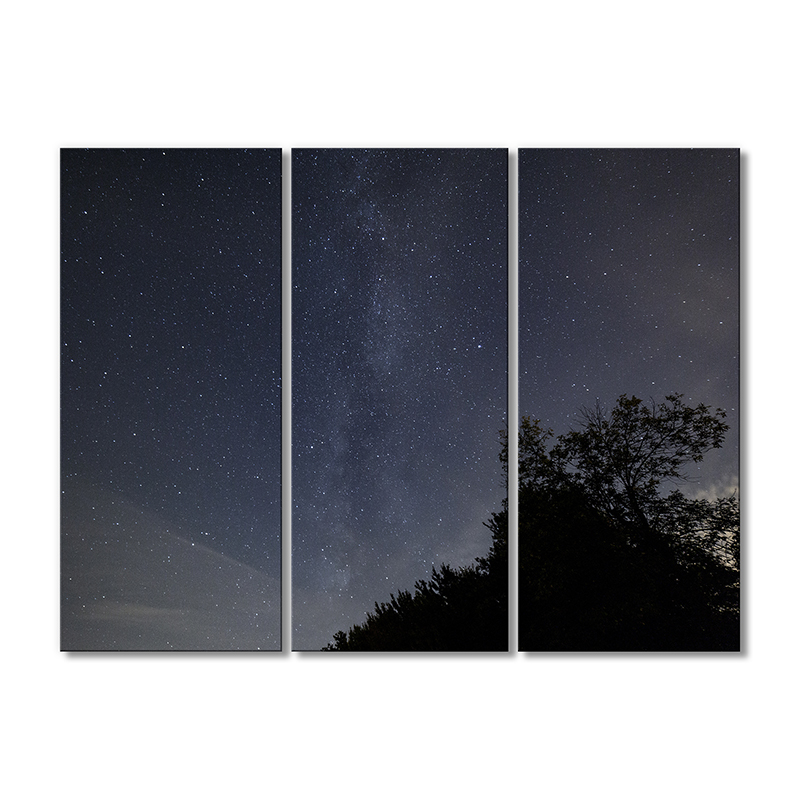 

Модульная картина Artel «Звездное небо» 3 модуля 60x90 см
