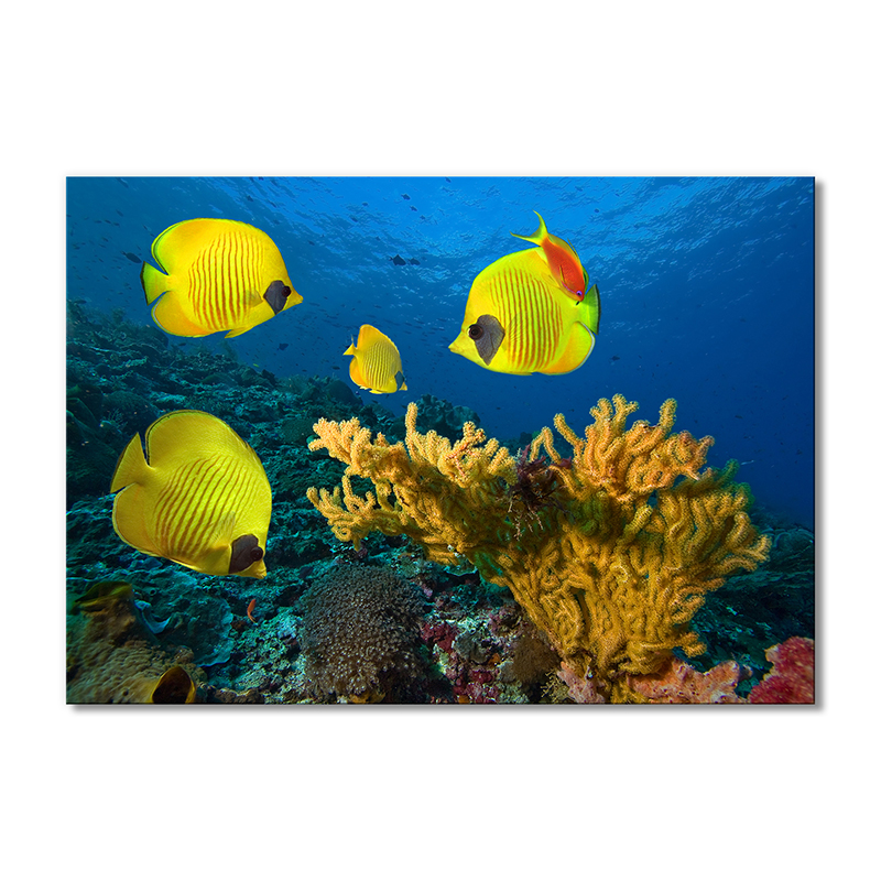 

Модульная картина Artel «Желтые рыбки» 1 модуль 60x90 см