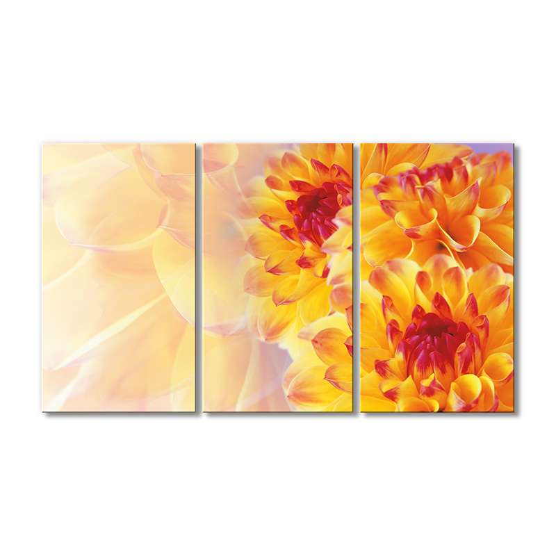 

Модульная картина Artel «Желто-красные георгины» 3 модуля 70x105 см