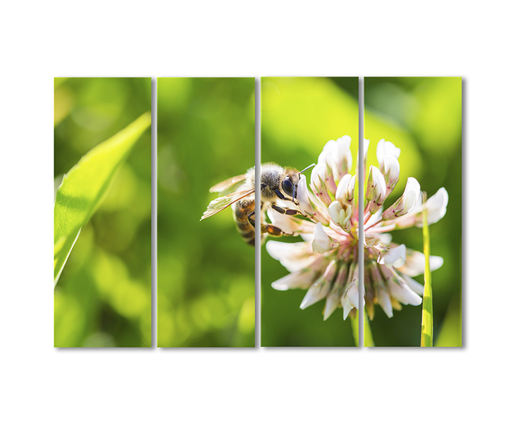 

Модульная картина Artel «Опыление цветка насекомыми» 4 модуля 70x105 см