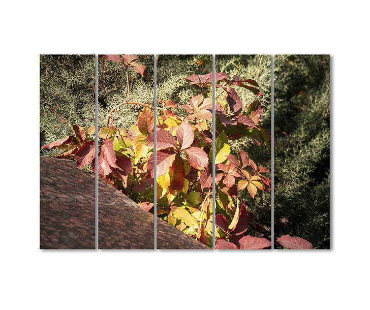 

Модульная картина Artel «Осенний дикий виноград» 5 модулей 80x120 см