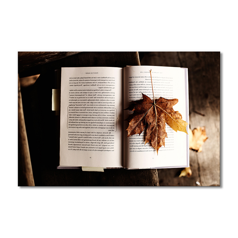 

Модульная картина Artel «Книга с осенним листом» 1 модуль 70x105 см