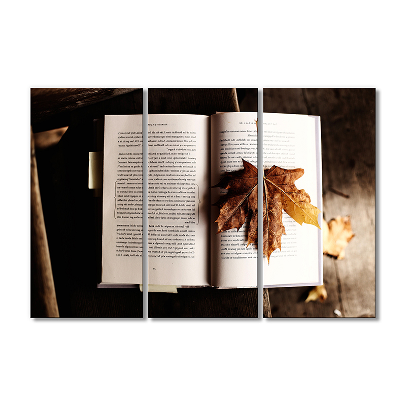 

Модульная картина Artel «Книга с осенним листом» 3 модуля 50x75 см