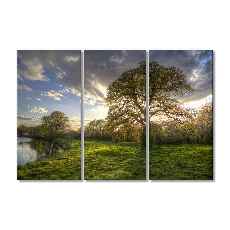 

Модульная картина Artel «Облака побережье трава деревья» 3 модуля 70x105 см