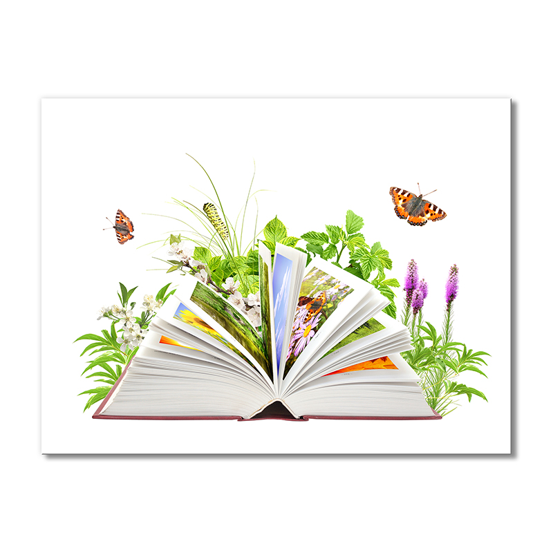 

Модульная картина Artel «Книга по ботанике» 1 модуль 80x120 см