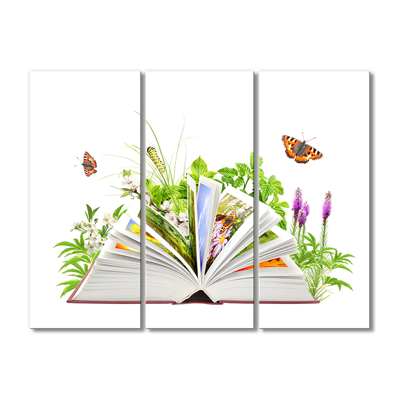 

Модульная картина Artel «Книга по ботанике» 3 модуля 50x75 см