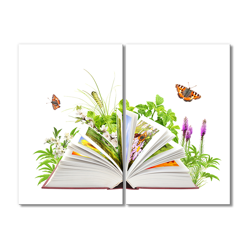 

Модульная картина Artel «Книга по ботанике» 2 модуля 50x75 см