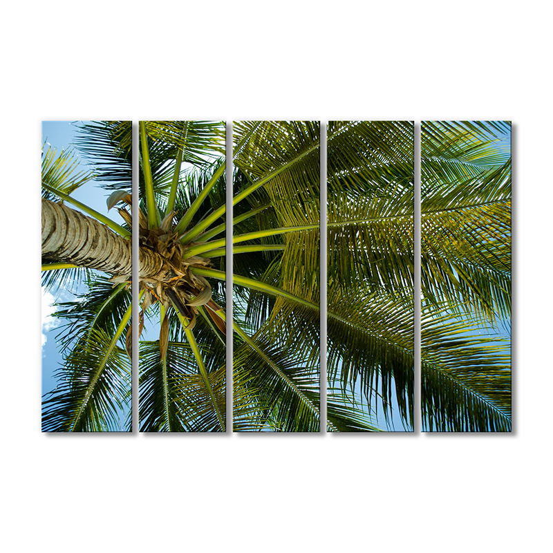 

Модульная картина Artel «Крона пальмы» 5 модулей 120x180 см
