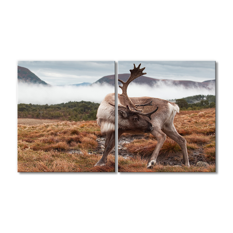 

Модульная картина Artel «Лось в дикой природе» 2 модуля 60x90 см