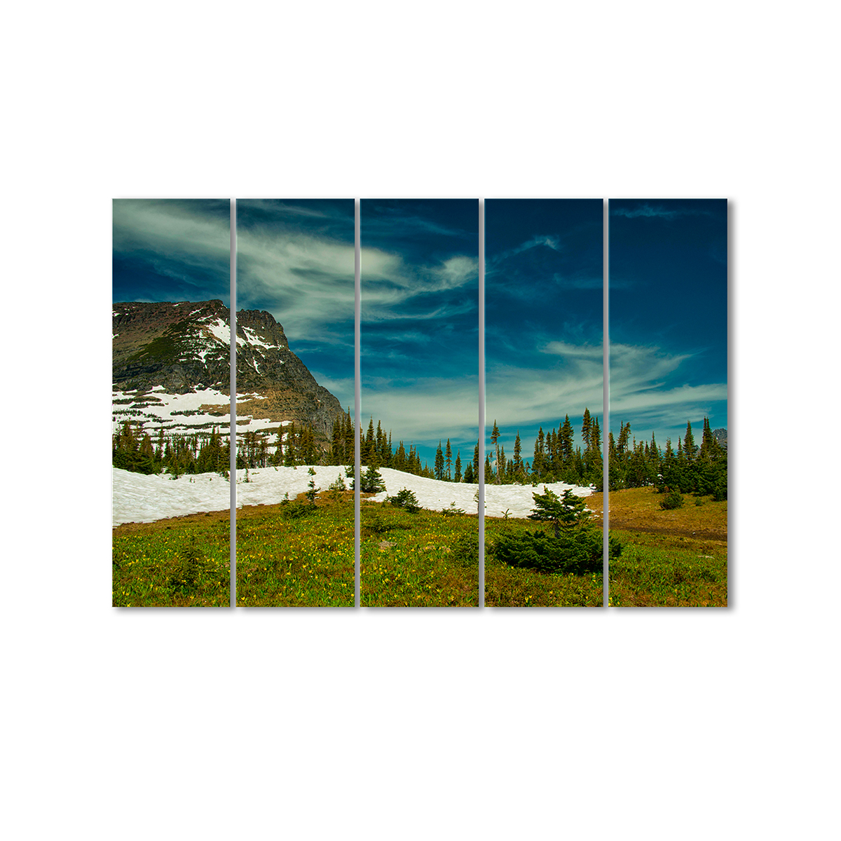 

Модульная картина Artel «Национальный парк Глейшер» 5 модулей 80x120 см