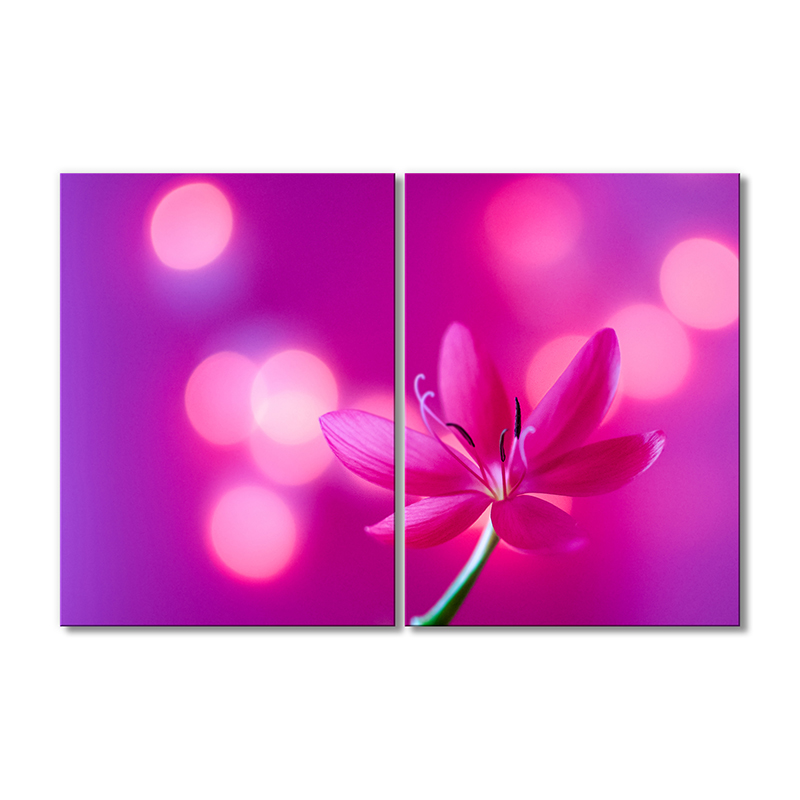 

Модульная картина Artel «Нежный розовый цветочек» 2 модуля 50x75 см