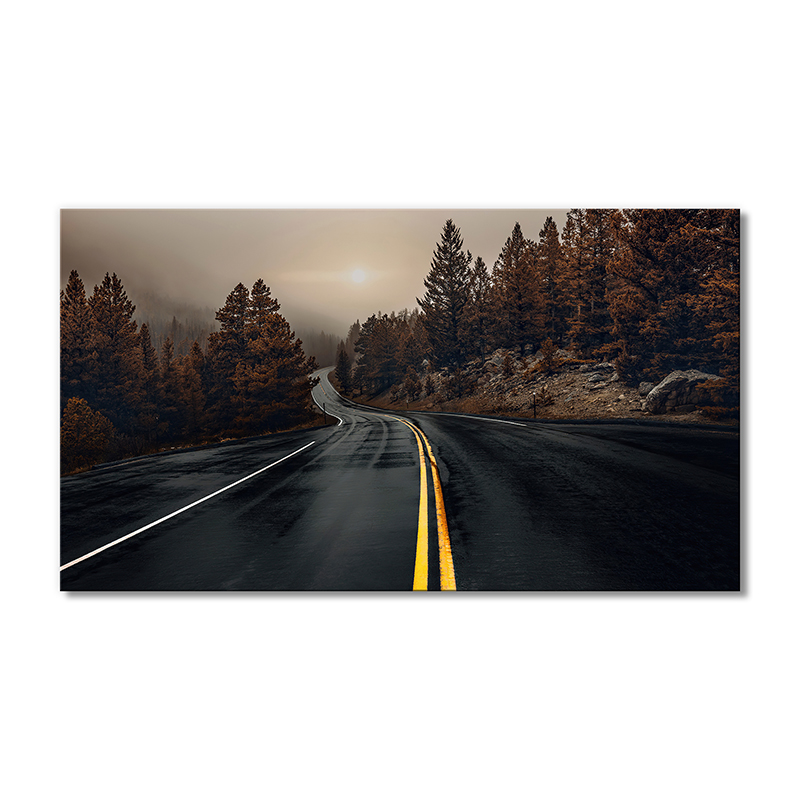 

Модульная картина Artel «Мокрая дорога осень ели туман» 1 модуль 70x105 см