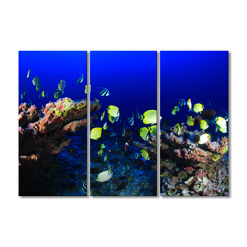

Модульная картина Artel «Морская жизнь» 3 модуля 80x120 см