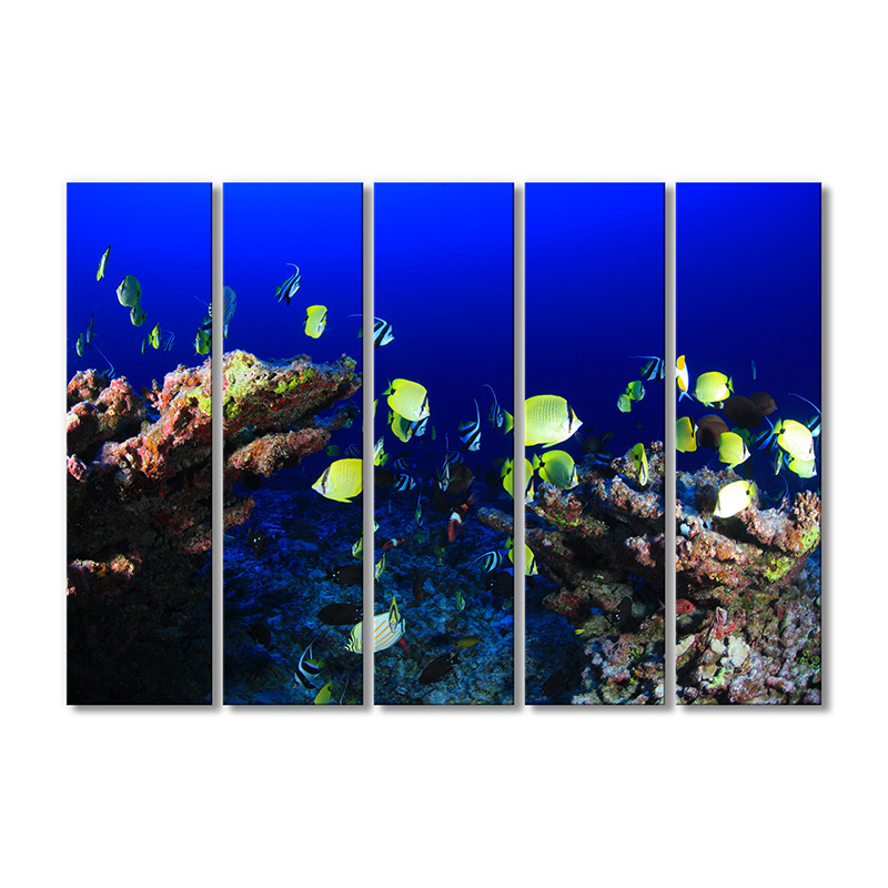 

Модульная картина Artel «Морская жизнь» 5 модулей 80x120 см