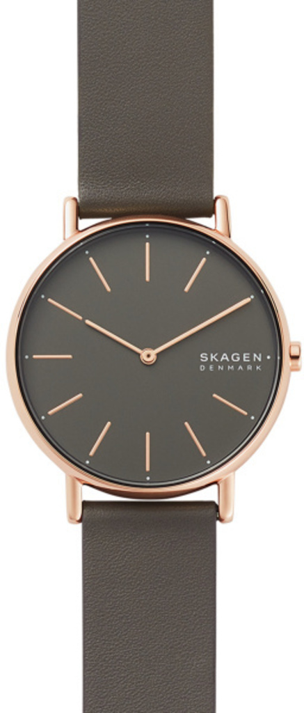 

Часы SKAGEN SKW2794