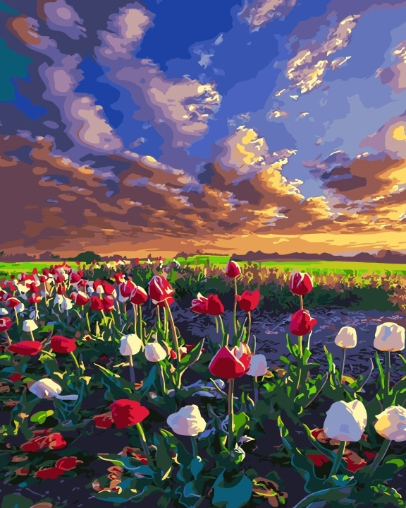 

Картина по номерах Bookopt Просто неба 40х50 (BK2208)