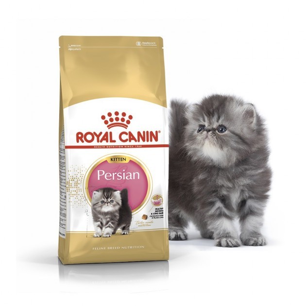 

Сухой корм Royal Canin Persian Kitten для персидских котят до 12 месяцев 10 кг