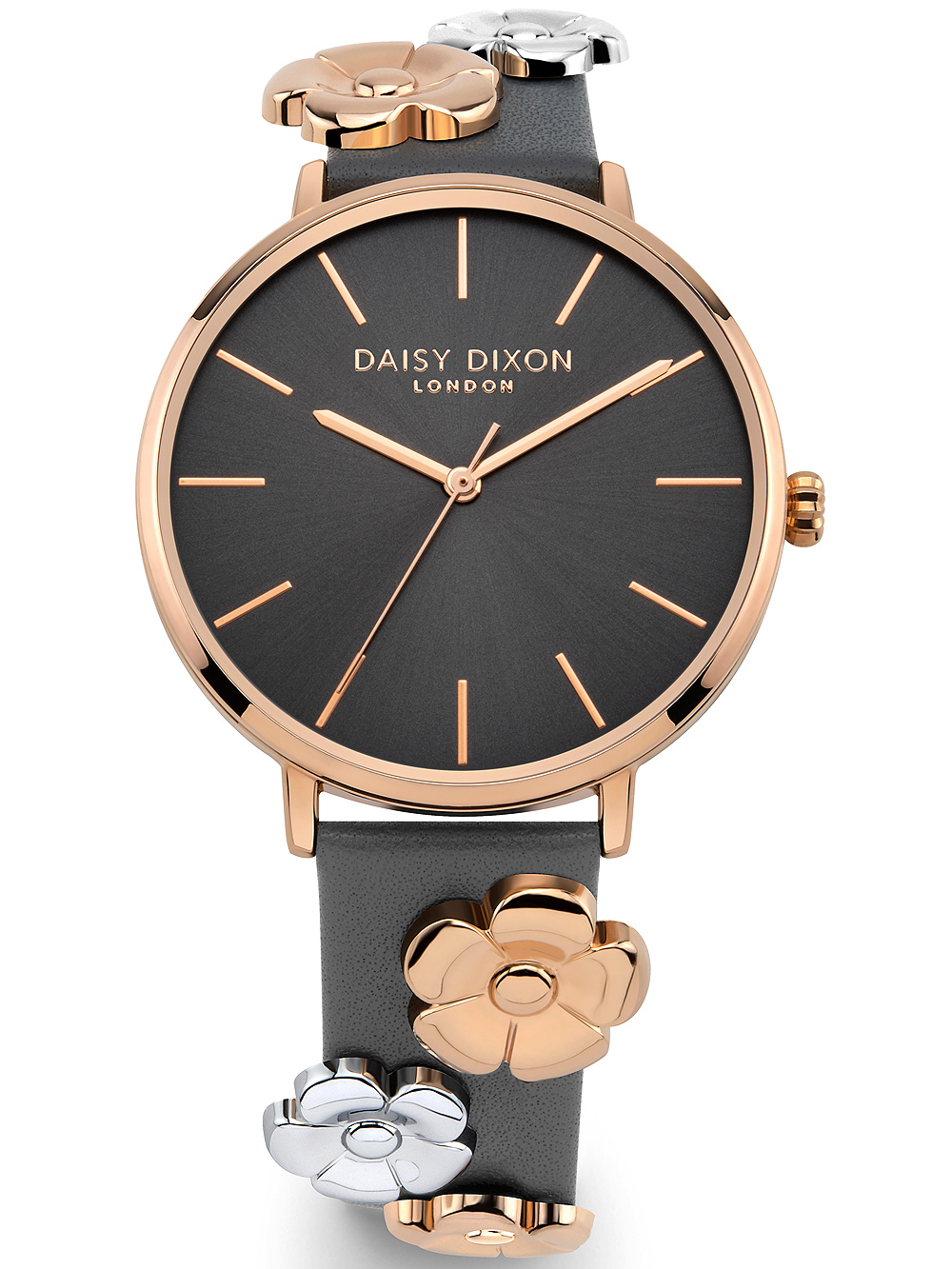 

Женские часы Daisy Dixon DD160ERG