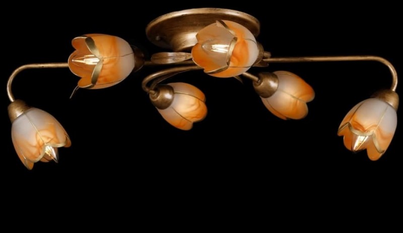 

Люстра с плафонами Ray L90229/6 (AN003946)