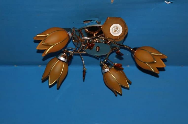 

Люстра с плафонами Ray L90931/5 (AN004011)