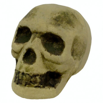 

Череп карнавальный Halloween 16-45BG (NAT05710)