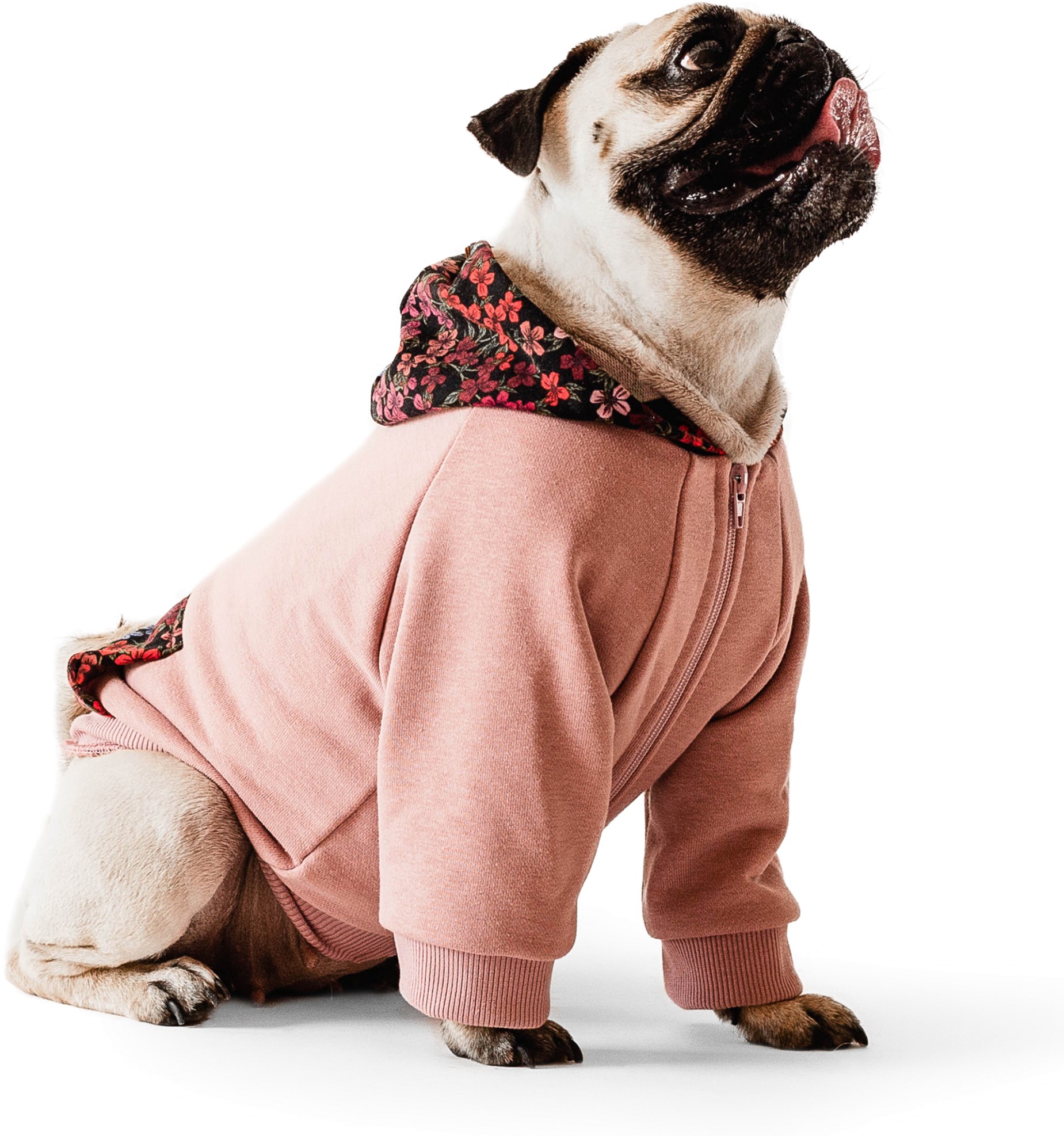 

Кофта-худи Noble Pet Franklin Powdery F4115/2XL