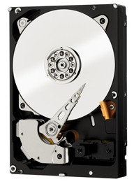

HDD SAS 3.0TB WD Enterprise Class 7200rpm 32MB (WD3001FYYG)