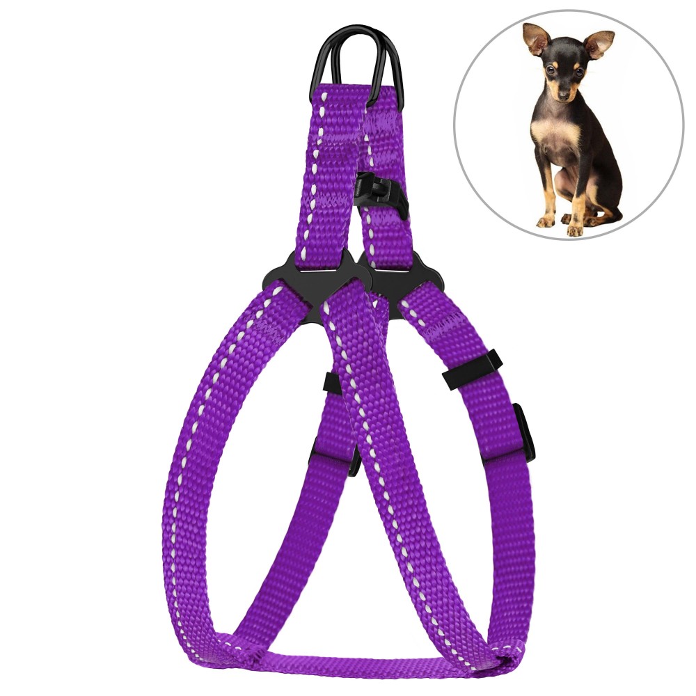 

Шлея для Собак Мелких Пород BronzeDog Active Нейлоновая со Светоотражением Фиолетовая 23-30 см (68/1307)