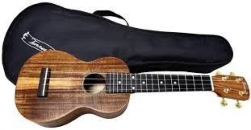 

Укулеле F502820 Укулеле Tennessee сопрано (струни,медіатор,чохол) 196548