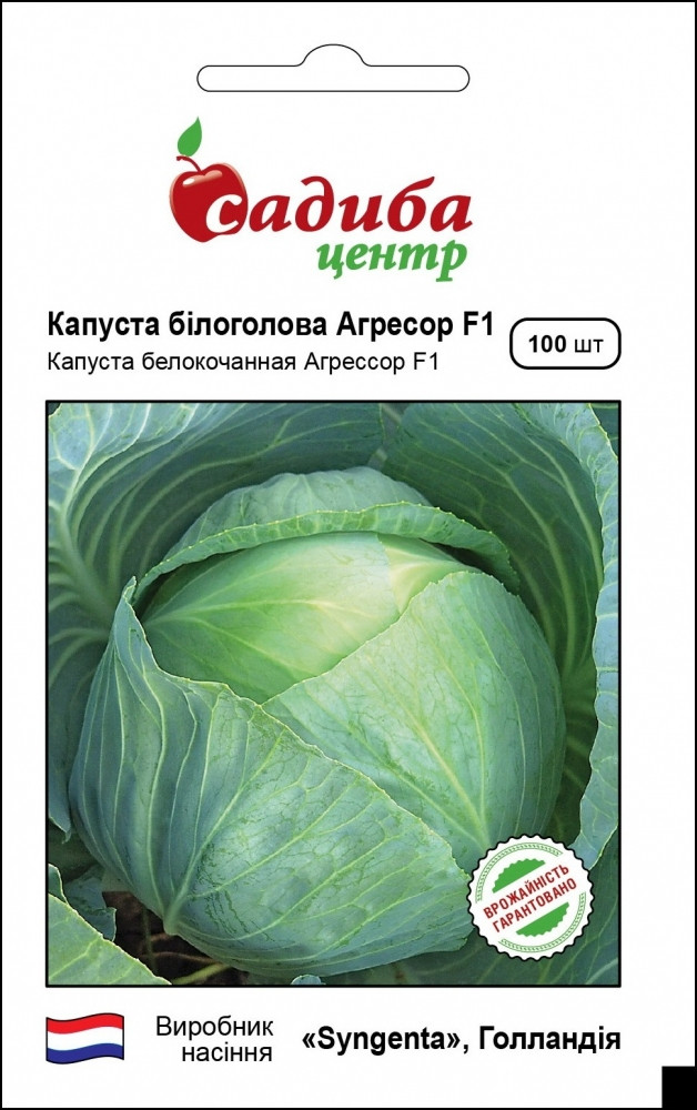 Капуста Агресор F1, 100шт – фото, відгуки, характеристики в інтернет ...