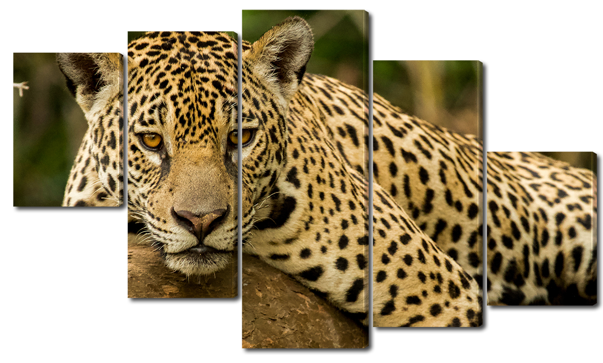 

Модульная картина Interno Эко кожа Леопард на дереве 158х90см